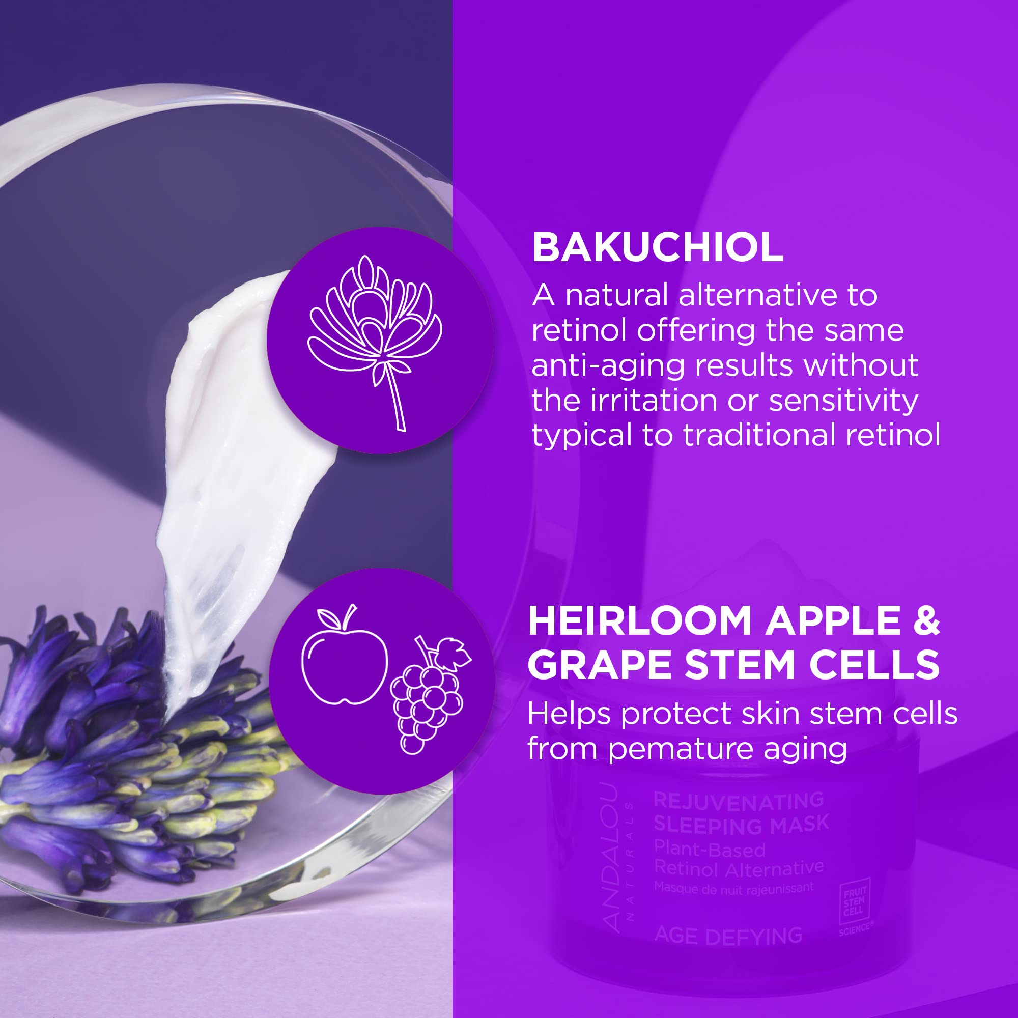 Andalou Naturals AGE DEFYING Plant-Based Retinol Alternative Rejuvenating Sleeping Mask