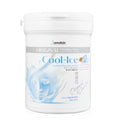 Anskin Modeling Mask Powder Pack Cool Ice – Soothing Pore Care, 240g