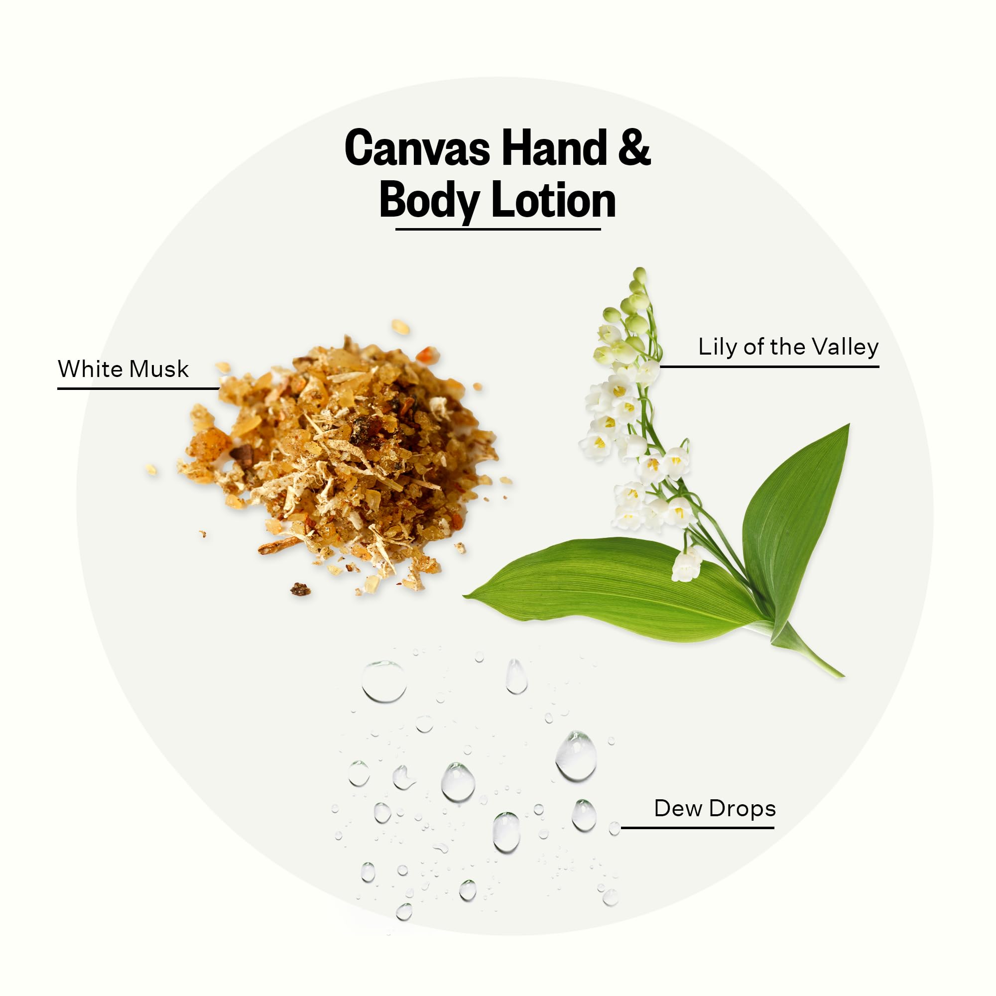 APOTHEKE Canvas Scented Hand & Body Lotion – Nourishing 10 oz for All Skin Types
