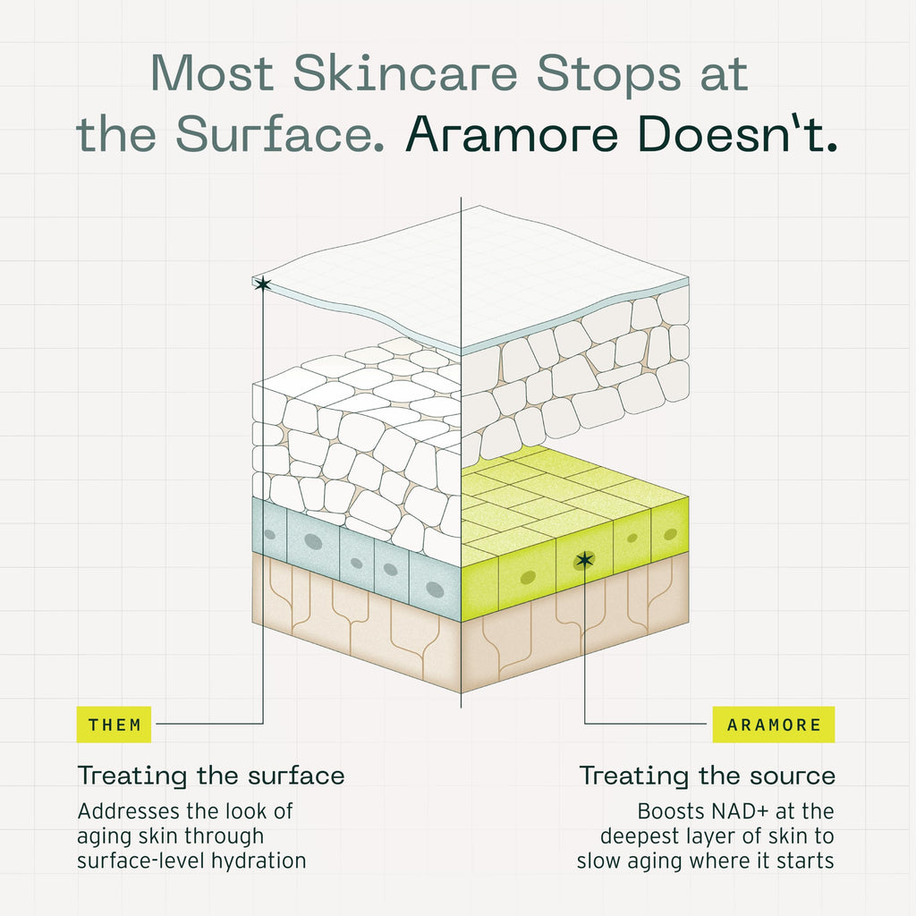 Aramore NAD+ Cell Energizing Skin Care Treatment – 12 Signs of Aging, 15ml