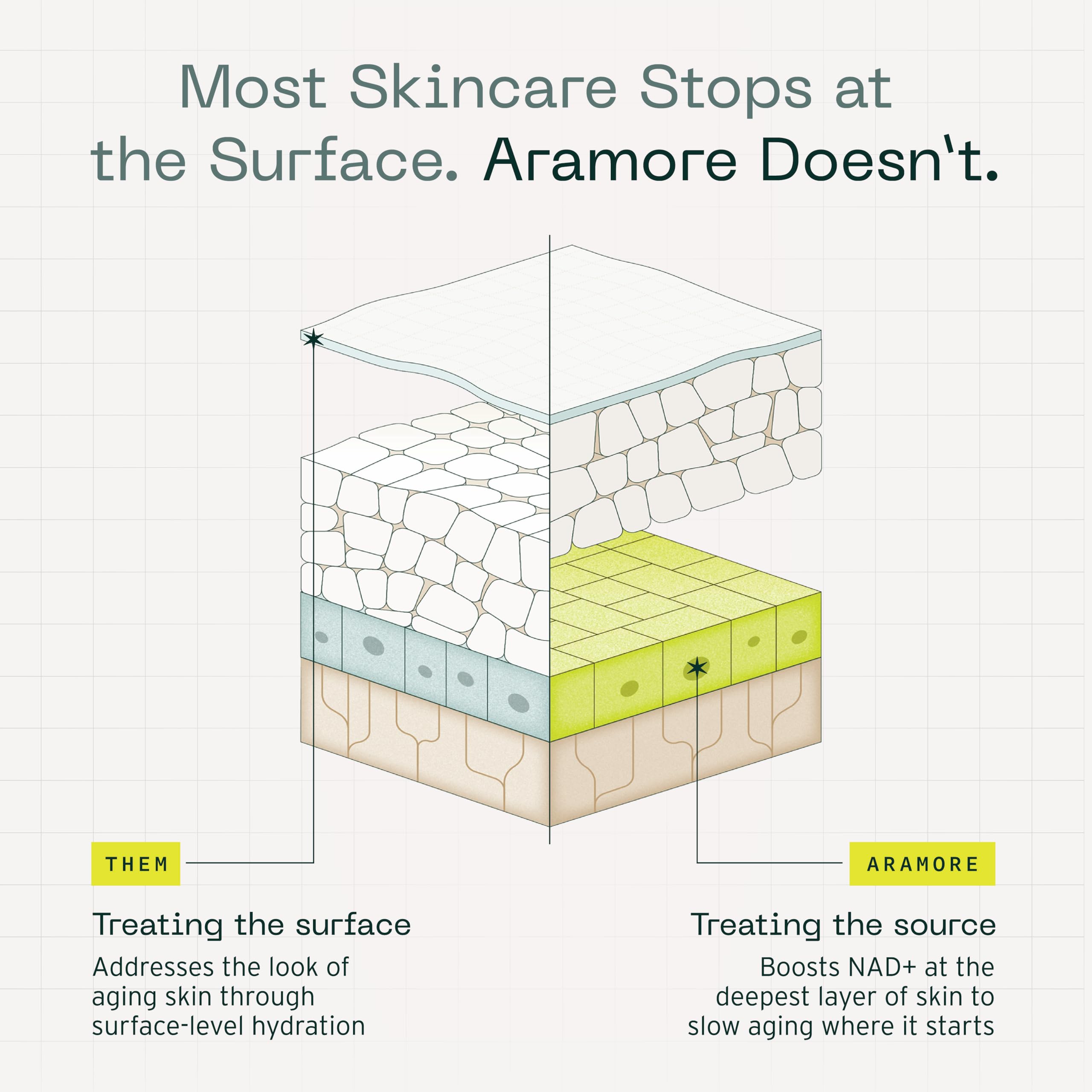 Aramore NAD+ Cell Energizing Skin Care Treatment – 12 Signs of Aging, 15ml