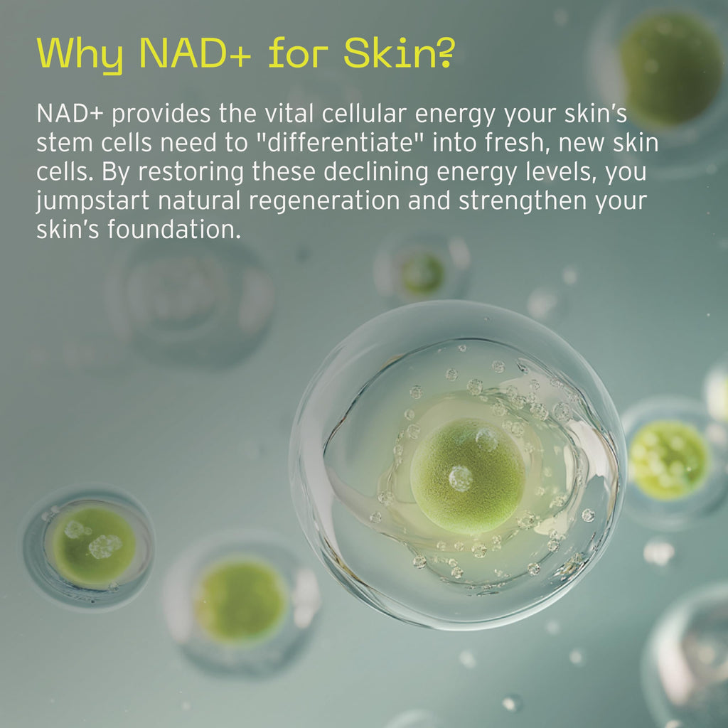 Aramore NAD+ Cell Energizing Skin Care Treatment – 12 Signs of Aging, 15ml