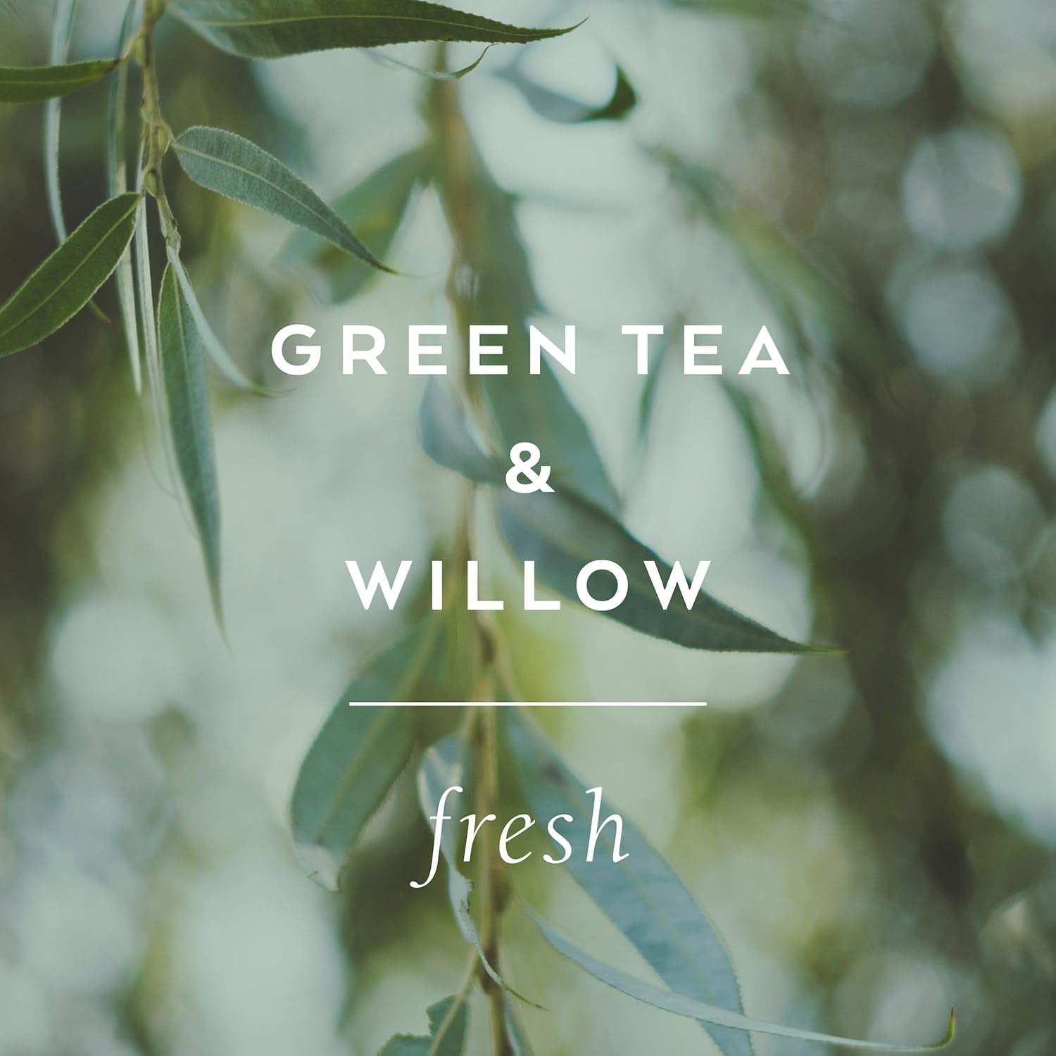 Archive Journey Within Bubble Bath for Adults – Green Tea & Willow Fragrance | Luxury Natural Oil Bubbles