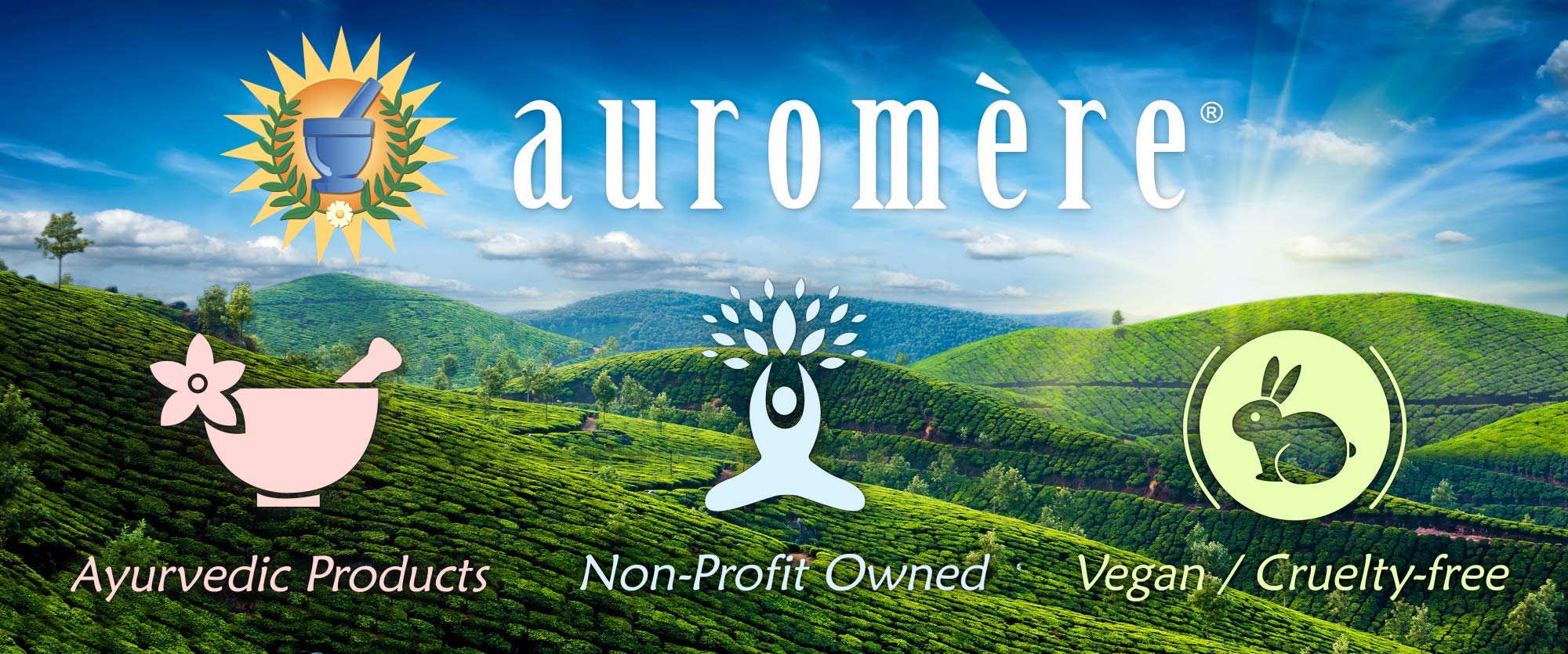 Auromere Ayurvedic Shampoo Bar - Eco-Friendly, Handmade, Vegan, All-In-One (4.23 oz) | 6-Pack