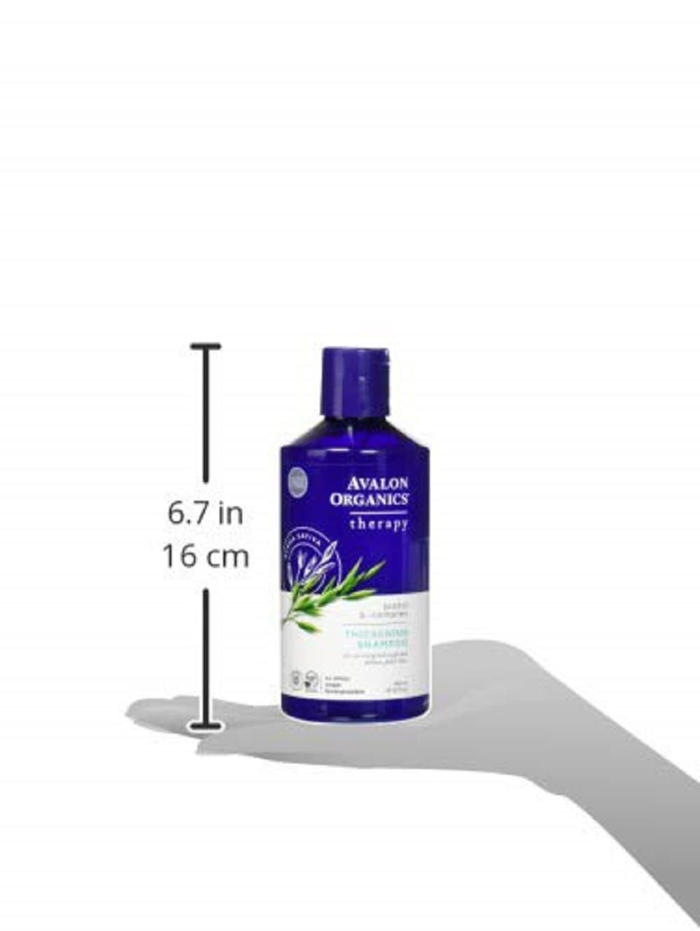 Avalon Organics Biotin B-Complex Thickening Shampoo – 14 fl oz (Pack of 2)