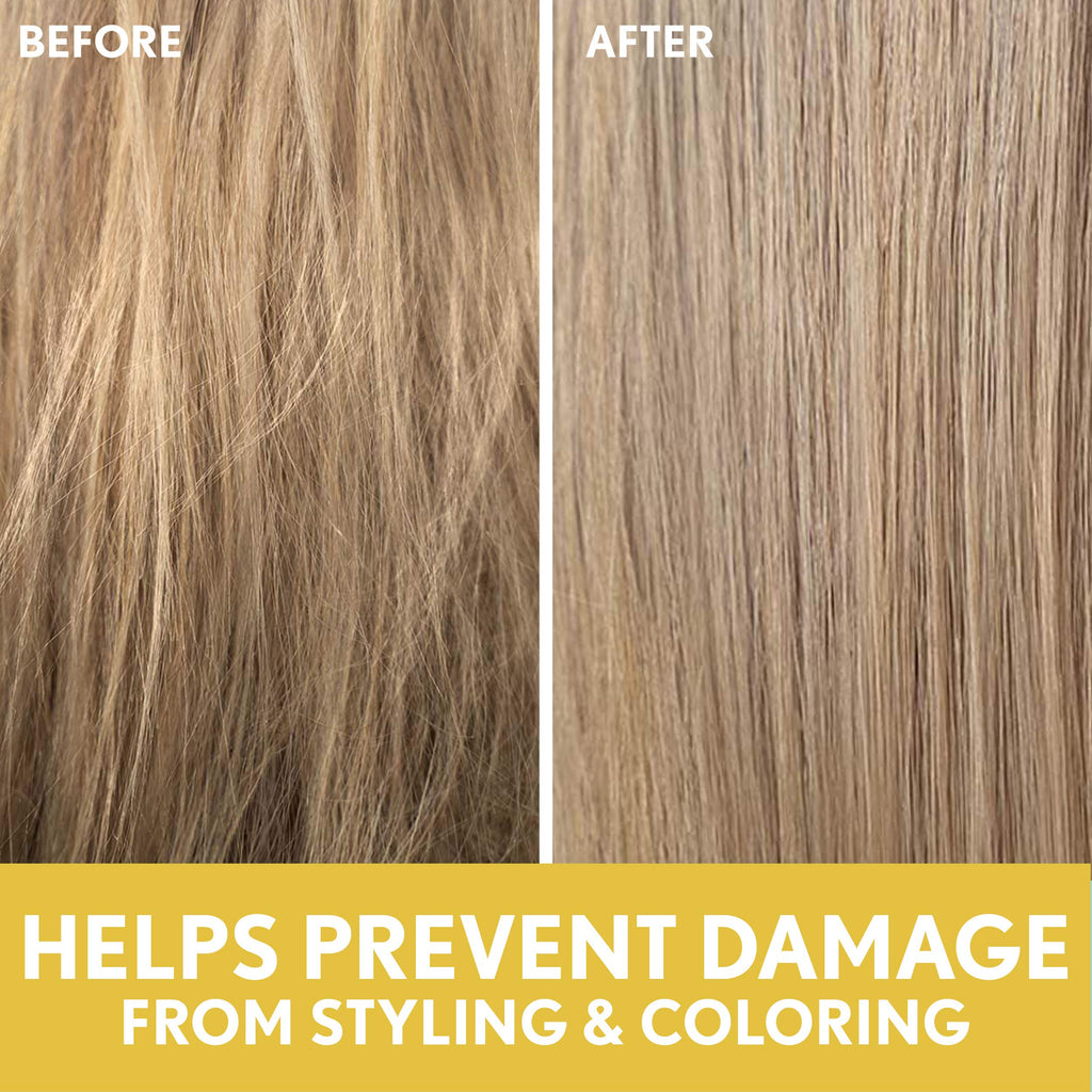 Aveeno Deep Moisturizing Sunflower Oil Blend Shampoo with Oat – Sulfate & Paraben Free for Dry Damaged Hair (12 oz)