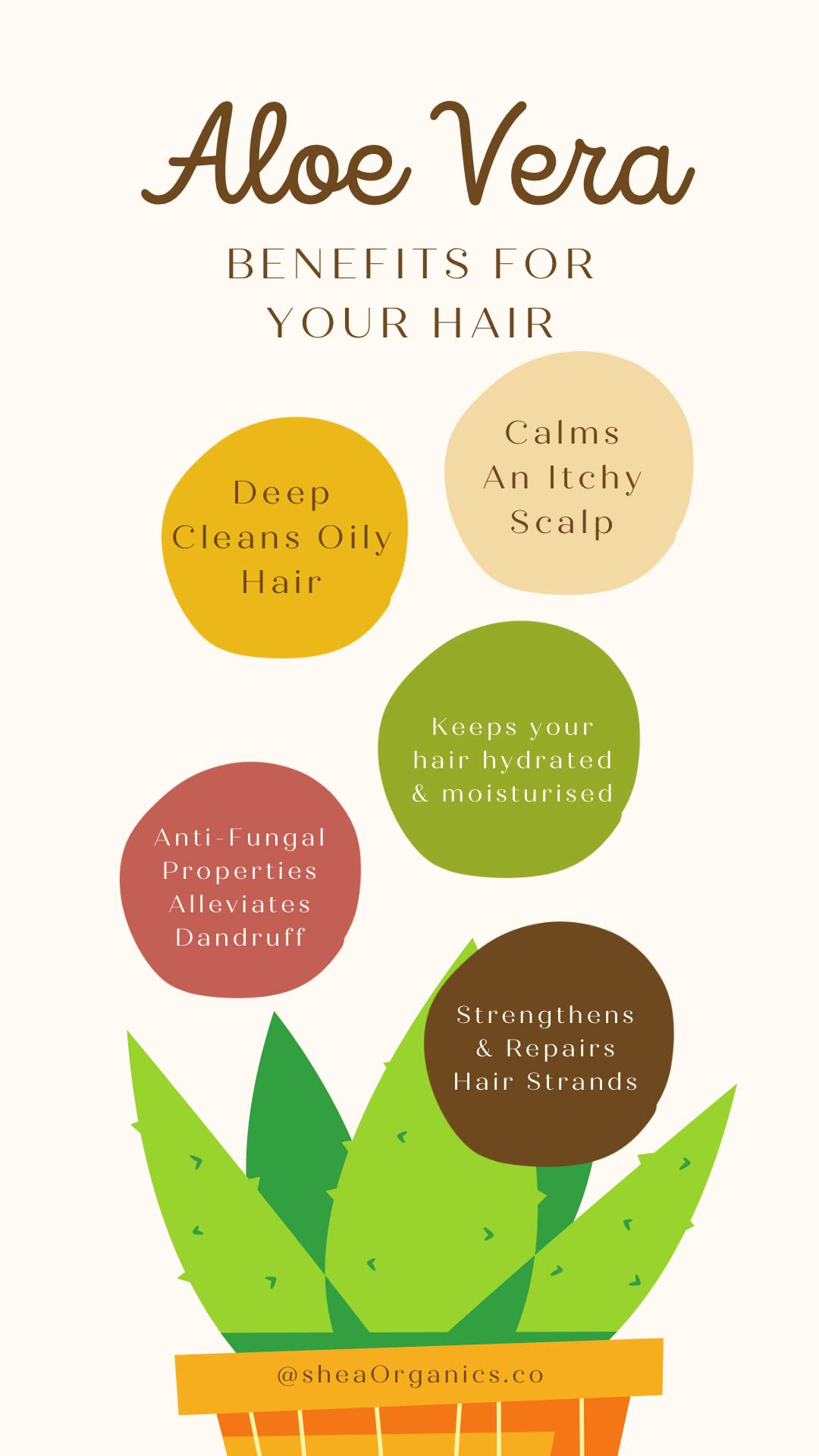 Baby Shea Organics Soothing Scalp Oil 1oz | Dry Scalp, Itch Relief & Cradle Cap for Babies
