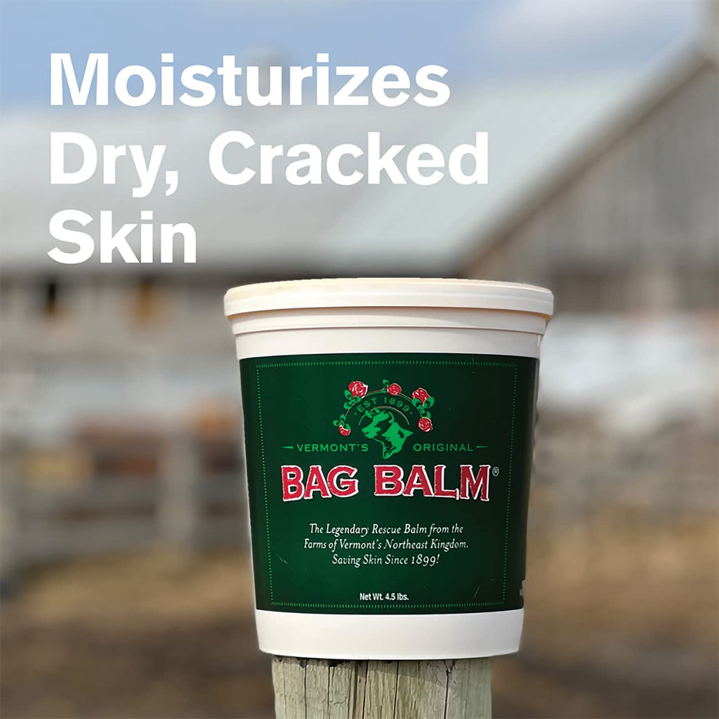 Bag Balm Vermont's Original Hand & Skin Moisturizer – 72oz Pail
