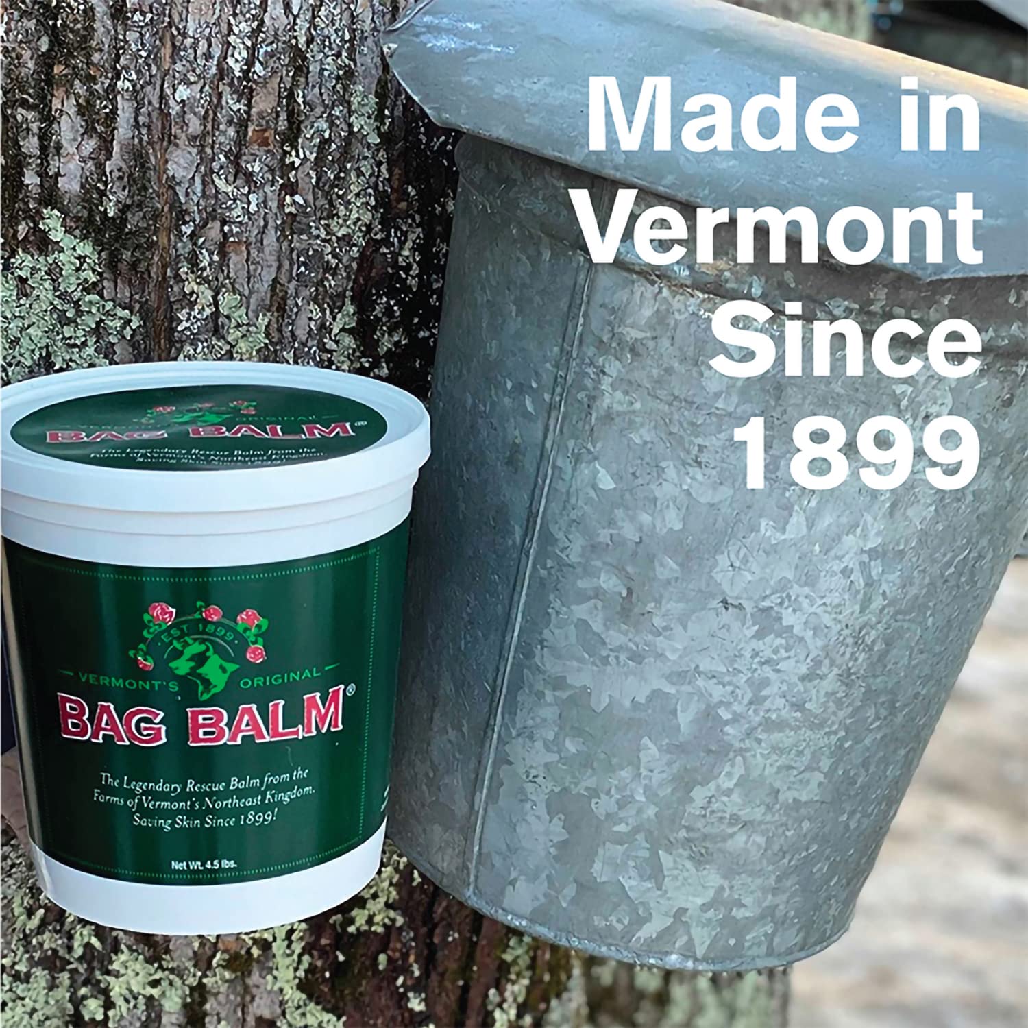 Bag Balm Vermont's Original Hand & Skin Moisturizer – 72oz Pail