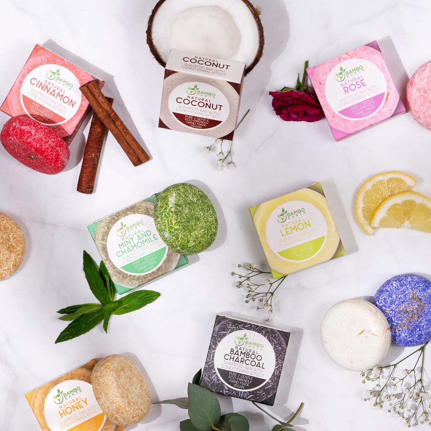 BAMBOEARTH Solid Shampoo Bar & Conditioner – 12 Pack, Natural Plant-Based Oils, Zero-Waste Packaging