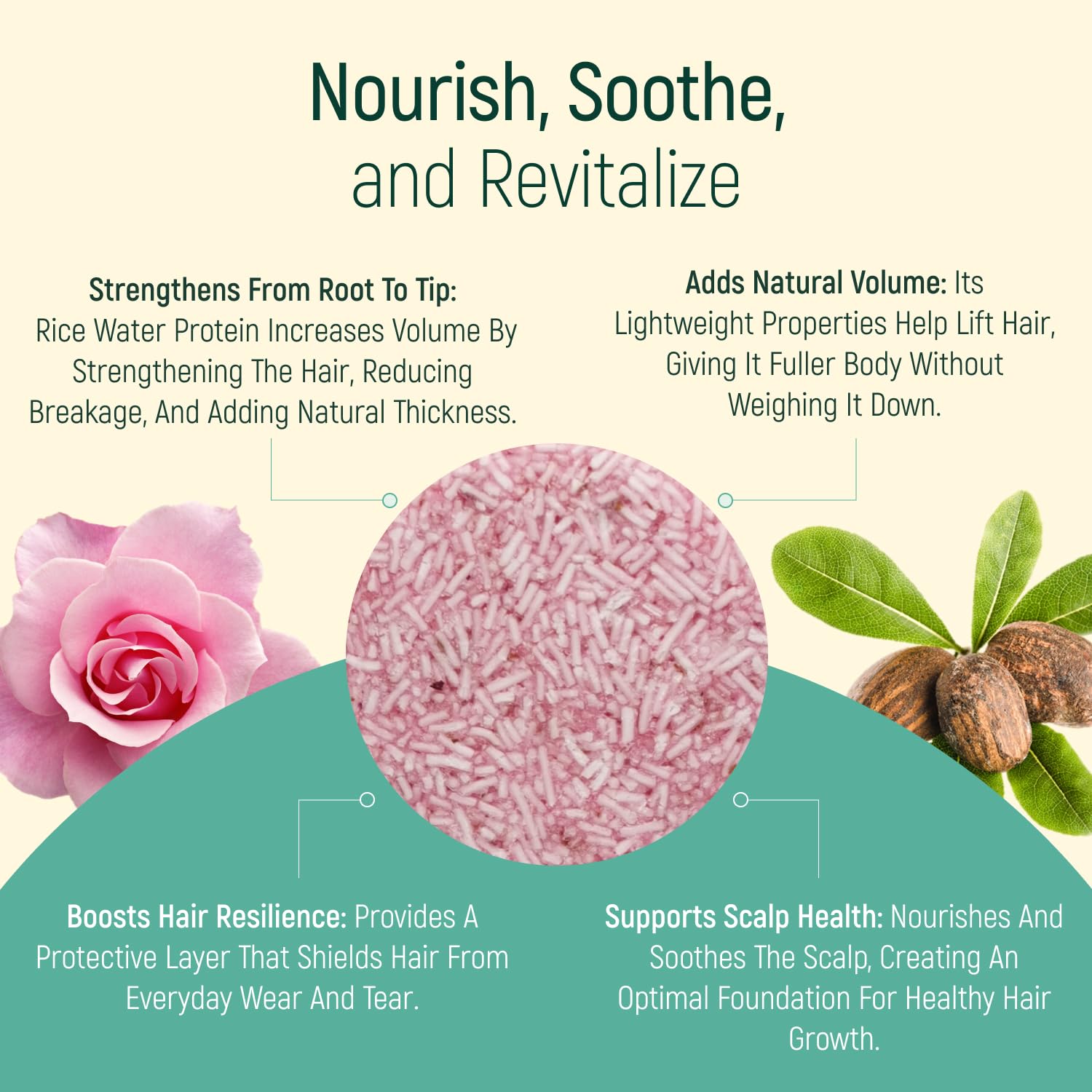 BAMBOEARTH Rose 12-Pack Solid Shampoo Bar & Conditioner Effect – Zero Waste, Plant-Based Hair Care