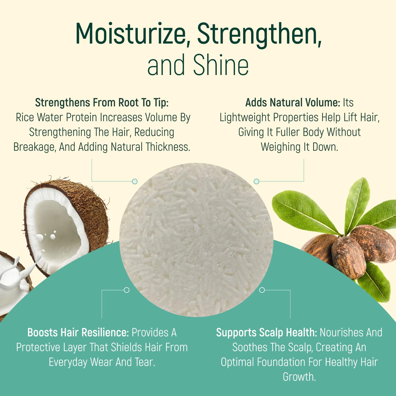 BAMBOEARTH Solid Shampoo Bar & Conditioning Soap – 12-Pack Natural, Plant-Based Hair Care (Zero Waste)