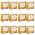 BAMBOEARTH Solid Shampoo Bar & Conditioner – 12 Pack, Natural Plant-Based Oils, Zero-Waste Packaging