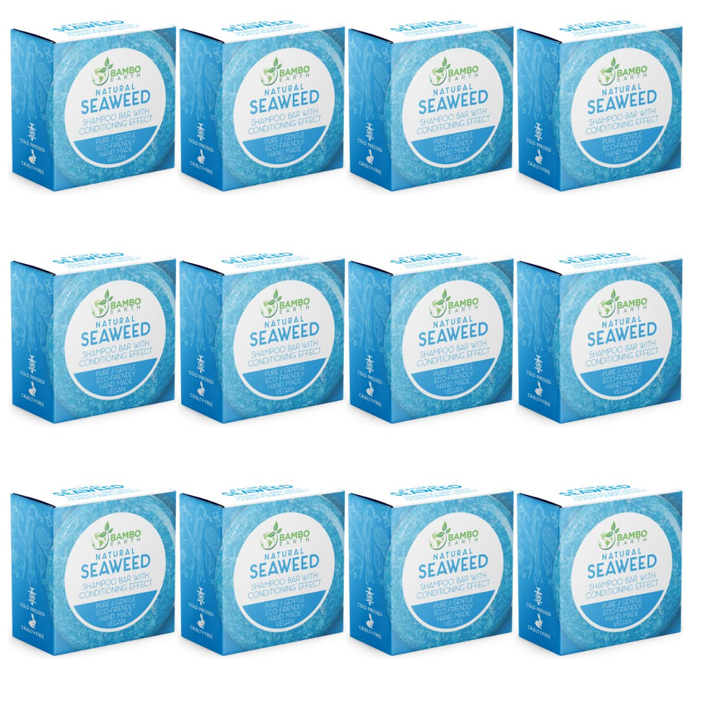 BAMBOEARTH Solid Shampoo Bar & Conditioner – Seaweed Pack (12 Bars) | Eco-Friendly, Zero-Waste