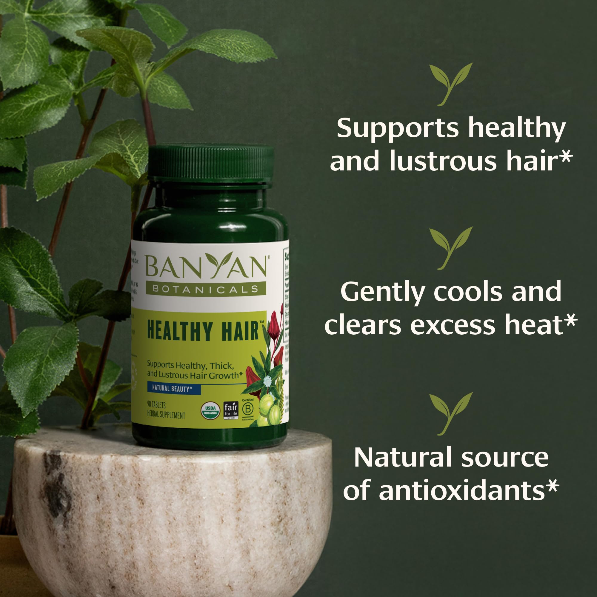 Banyan Botanicals Healthy Hair Tablets – Organic Ayurvedic Hair Care for Thick, Lustrous Hair (90 Vegan Tablets)