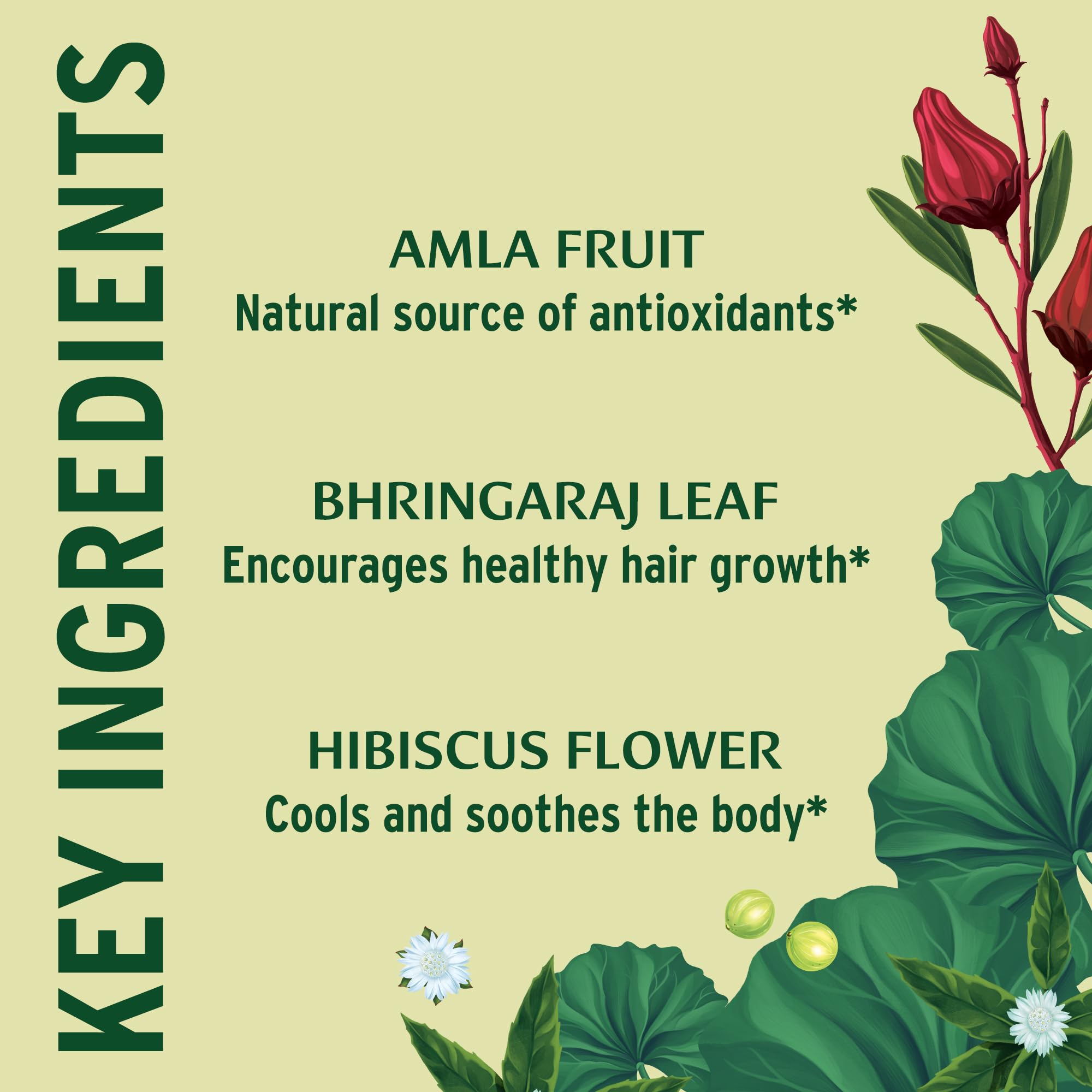 Banyan Botanicals Healthy Hair Tablets – Organic Ayurvedic Hair Care for Thick, Lustrous Hair (90 Vegan Tablets)