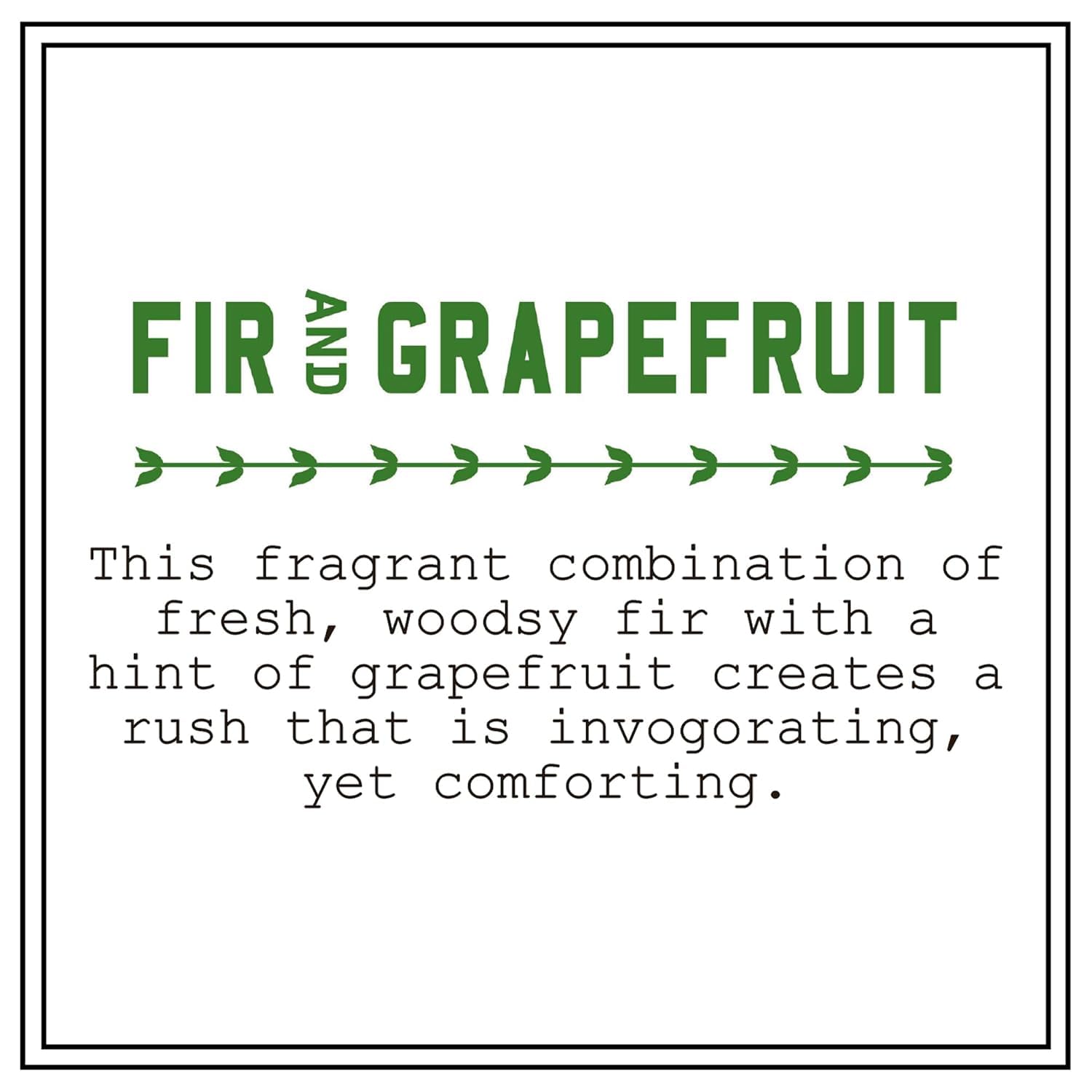BARR-CO Fir & Grapefruit Hand & Body Cream – Woody Citrus Scent, 3.4 oz