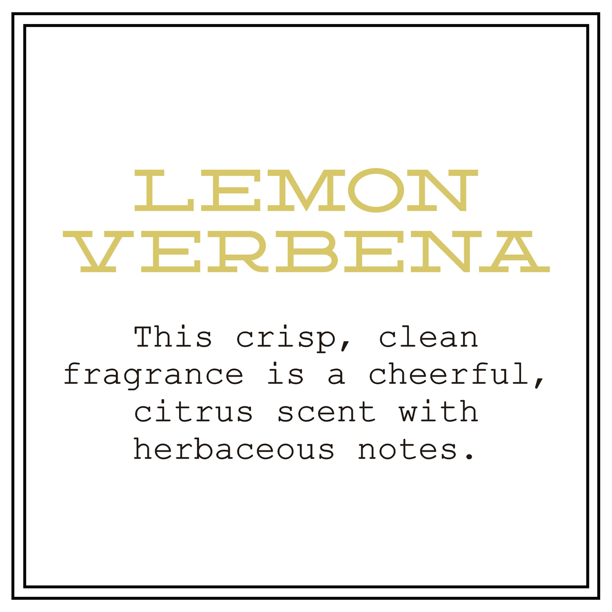 BARR-CO Hand Soap Refill – Lemon Verbena, Vegan & Moisturizing, 16 fl oz