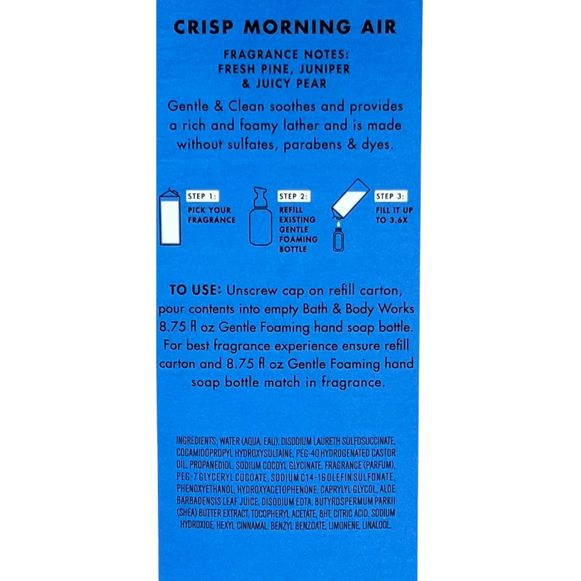 Bath & Body Works Crisp Morning Air Gentle Foaming Hand Soap, 32 oz