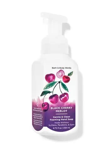 Bath & Body Works Foaming Hand Soaps – Set of 5 Gentle Foaming Hand Soap Scents (Fresh & Fruity)