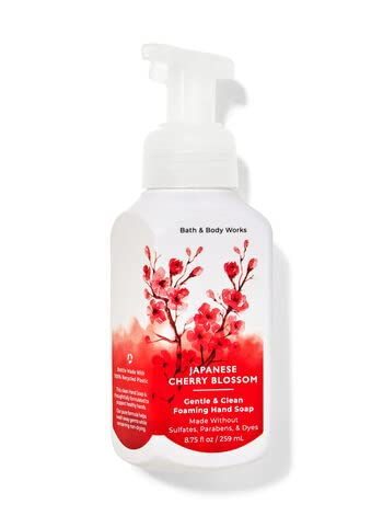 Bath & Body Works Foaming Hand Soaps – Set of 5 Gentle Foaming Hand Soap Scents (Fresh & Fruity)