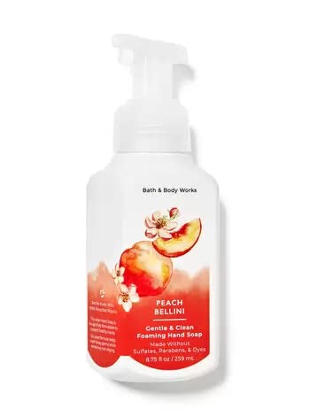 Bath & Body Works Foaming Hand Soaps – Set of 5 Gentle Foaming Hand Soap Scents (Fresh & Fruity)