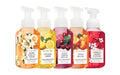 Bath & Body Works Fresh and Bright Hand Soaps – 5-Pack Gentle Foaming Set