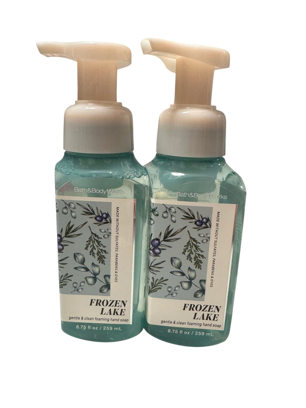 Bath & Body Works Gentle & Clean Foaming Hand Soap 8.75 oz Twin Pack — Frozen Lake