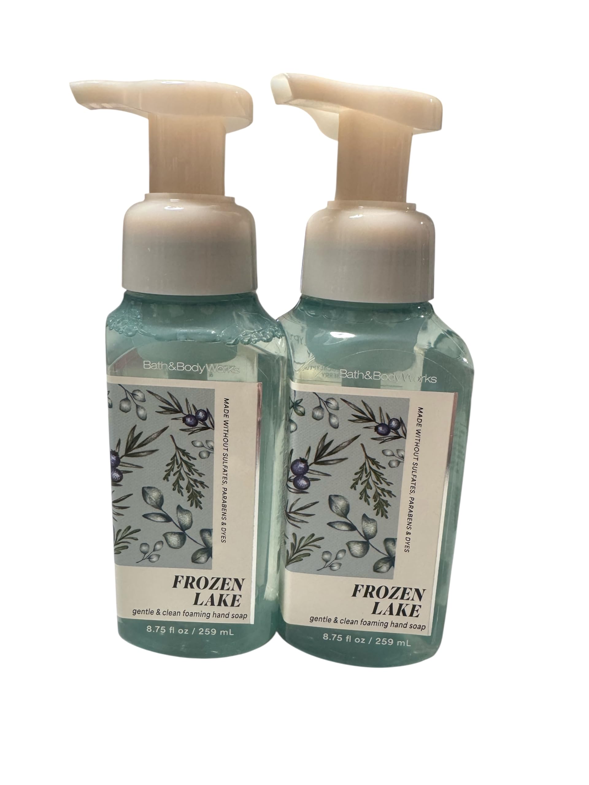 Bath & Body Works Gentle & Clean Foaming Hand Soap 8.75 oz Twin Pack — Frozen Lake
