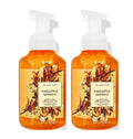 Bath & Body Works Gentle Foaming Hand Soap Pineapple Mango 2-Pack 8.75 oz