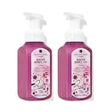 Bath & Body Works Gentle Foaming Hand Soap – Winterberry Ice, 2-Pack (8.75 oz each)