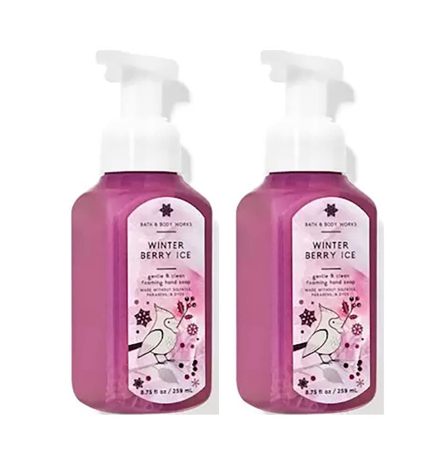 Bath & Body Works Gentle Foaming Hand Soap – Winterberry Ice, 2-Pack (8.75 oz each)
