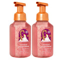 Bath & Body Works Gentle Foaming Hand Soap Twisted Peppermint (2-Pack)