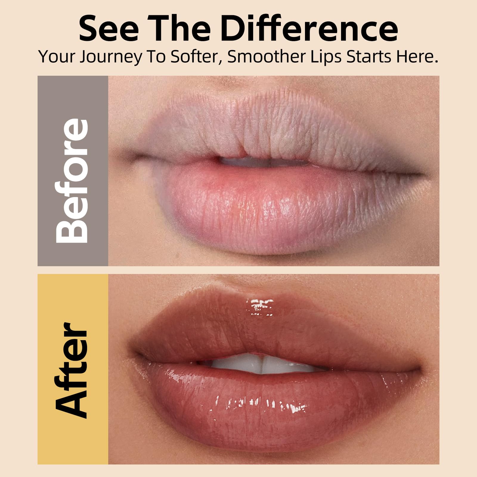 Bayfree Tinted Lipstick Set — 3pc, All-Day Hydration, Cruelty-Free