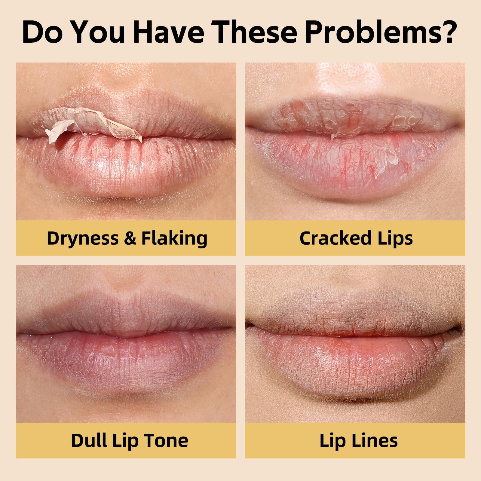 Bayfree Tinted Lipstick Set — 3pc, All-Day Hydration, Cruelty-Free