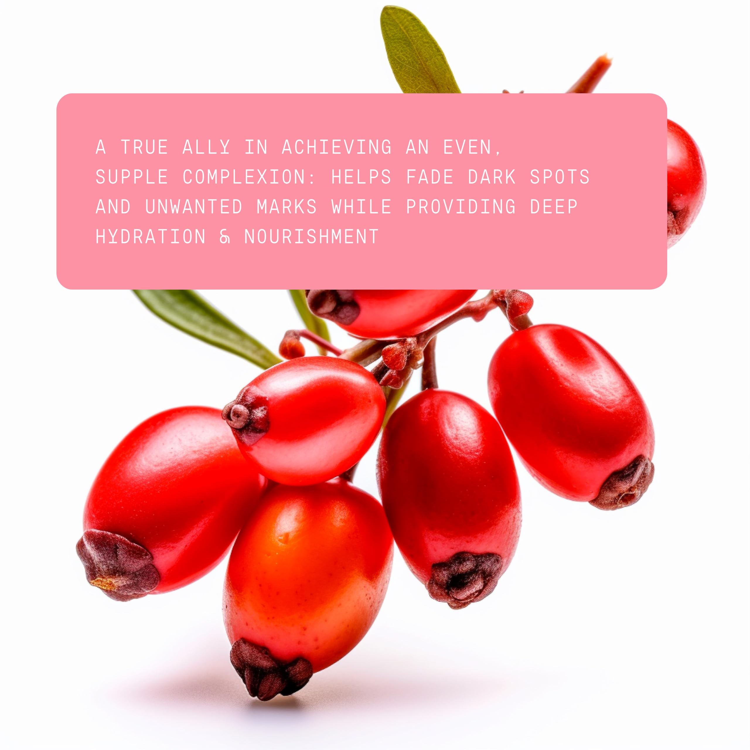 Beauts Rosehip Seed Oil – 100% Pure, Unrefined, 30 mL for Face, Skin & Hair
