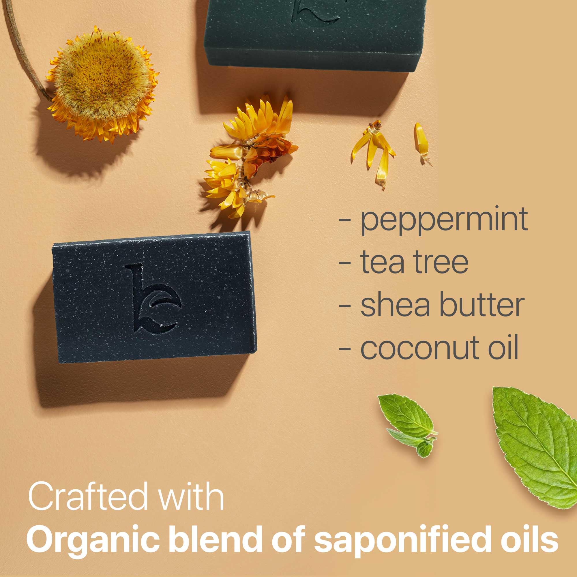 Beauty by Earth Peppermint Tea Tree Charcoal Bar Soap | USA Made, Natural & Organic for Acne & Oily Skin