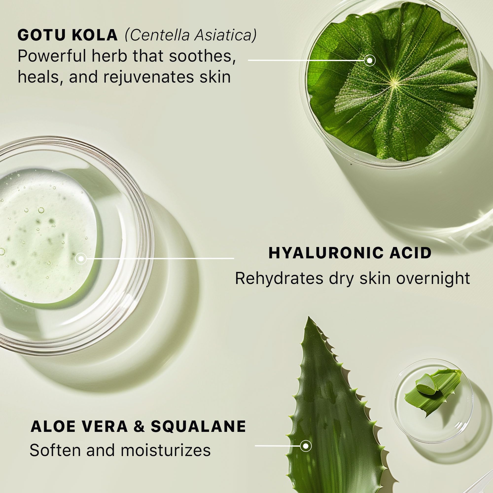 Beauty by Earth Hyaluronic Acid Moisturizer for Face – USA Made, Hydrating and Unscented