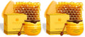 Bee Balm Original Lip Balm – Propolis Hydration in Honey Pot (Pack of 2)