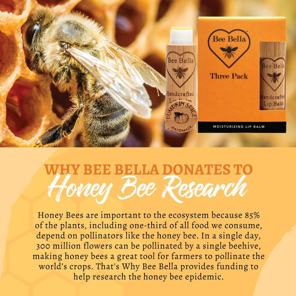 Bee Bella Lip Balm Pumpkin Spice (3 Pack) – Handmade in USA | Long-Lasting Moisture