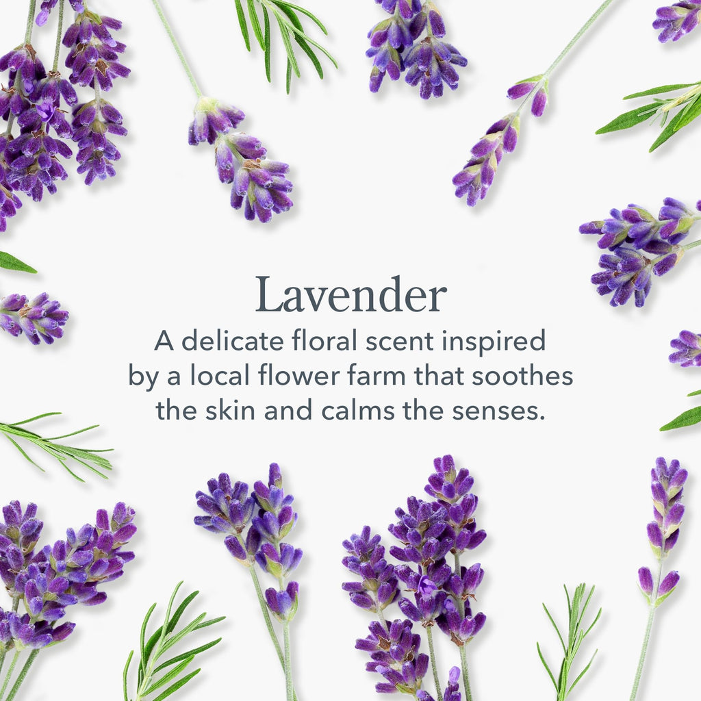 Beekman 1802 Goat Milk Hand Cream – Lavender – 2 oz | Non-Greasy Moisturizing Lotion