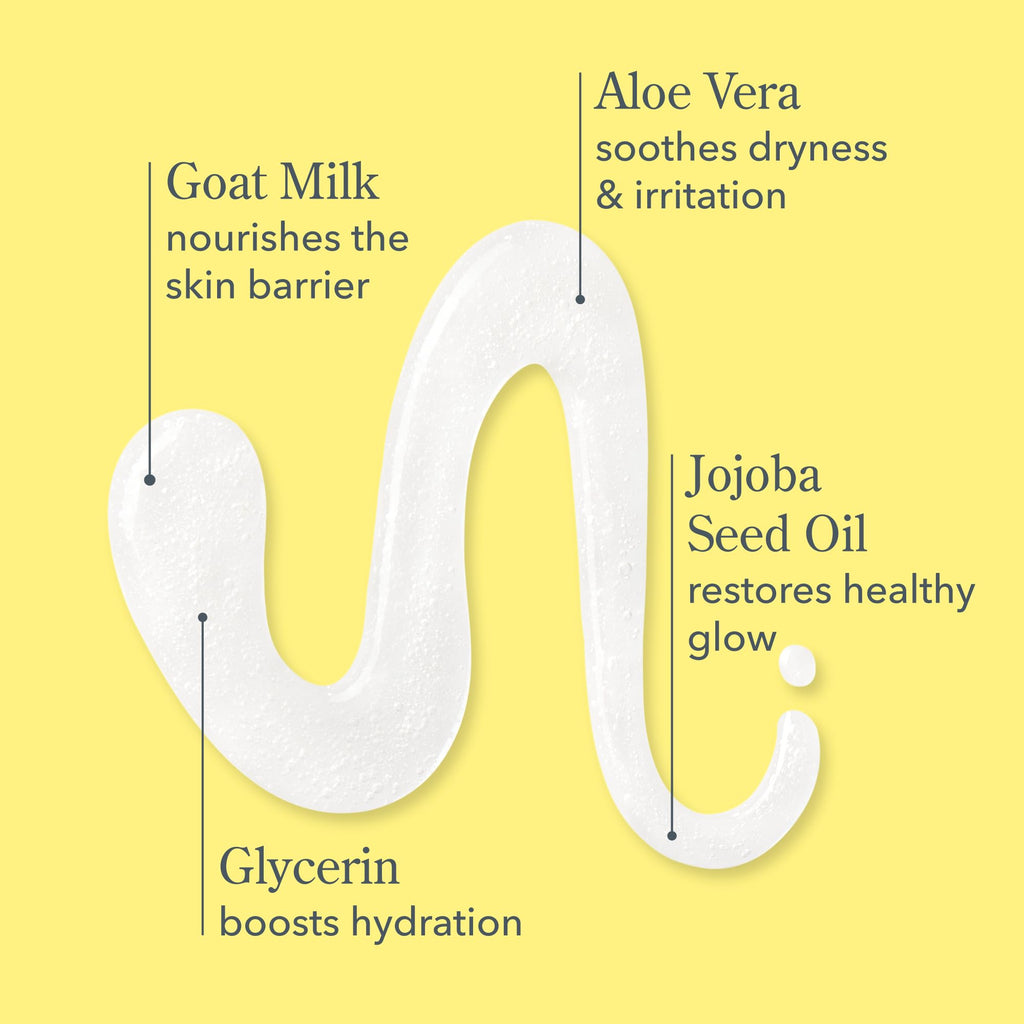 Beekman 1802 Goat Milk Hand Wash – Sunshine Lemon | Gentle, Moisturizing & Cruelty-Free
