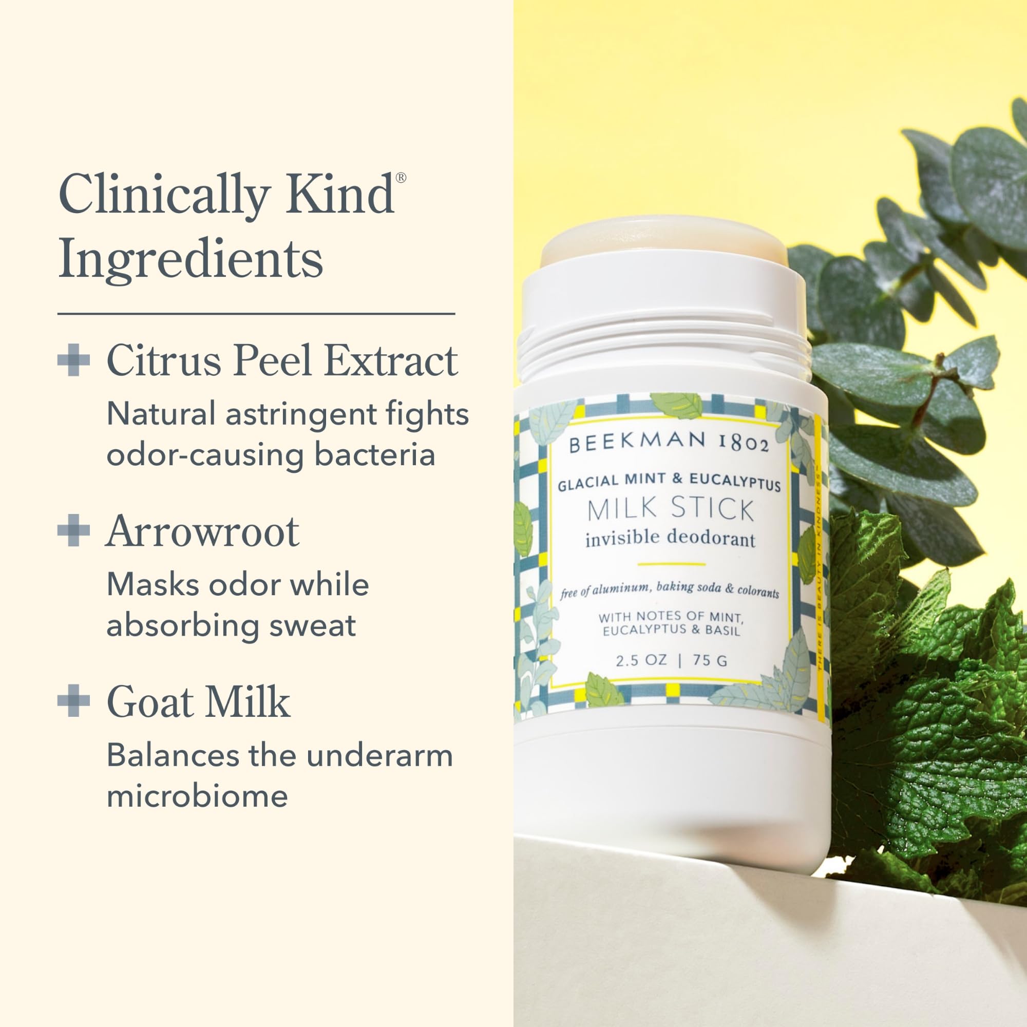 Beekman 1802 Milk Stick Whole Body Deodorant – Glacial Mint & Eucalyptus | Aluminum-Free & Gentle on Sensitive Skin
