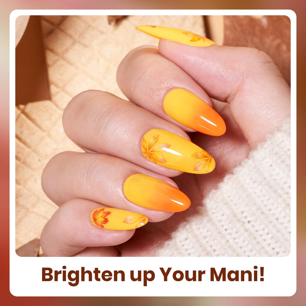 Beetles Gel Nail Polish Set – 6 Autumn Colors for At-Home Manicures