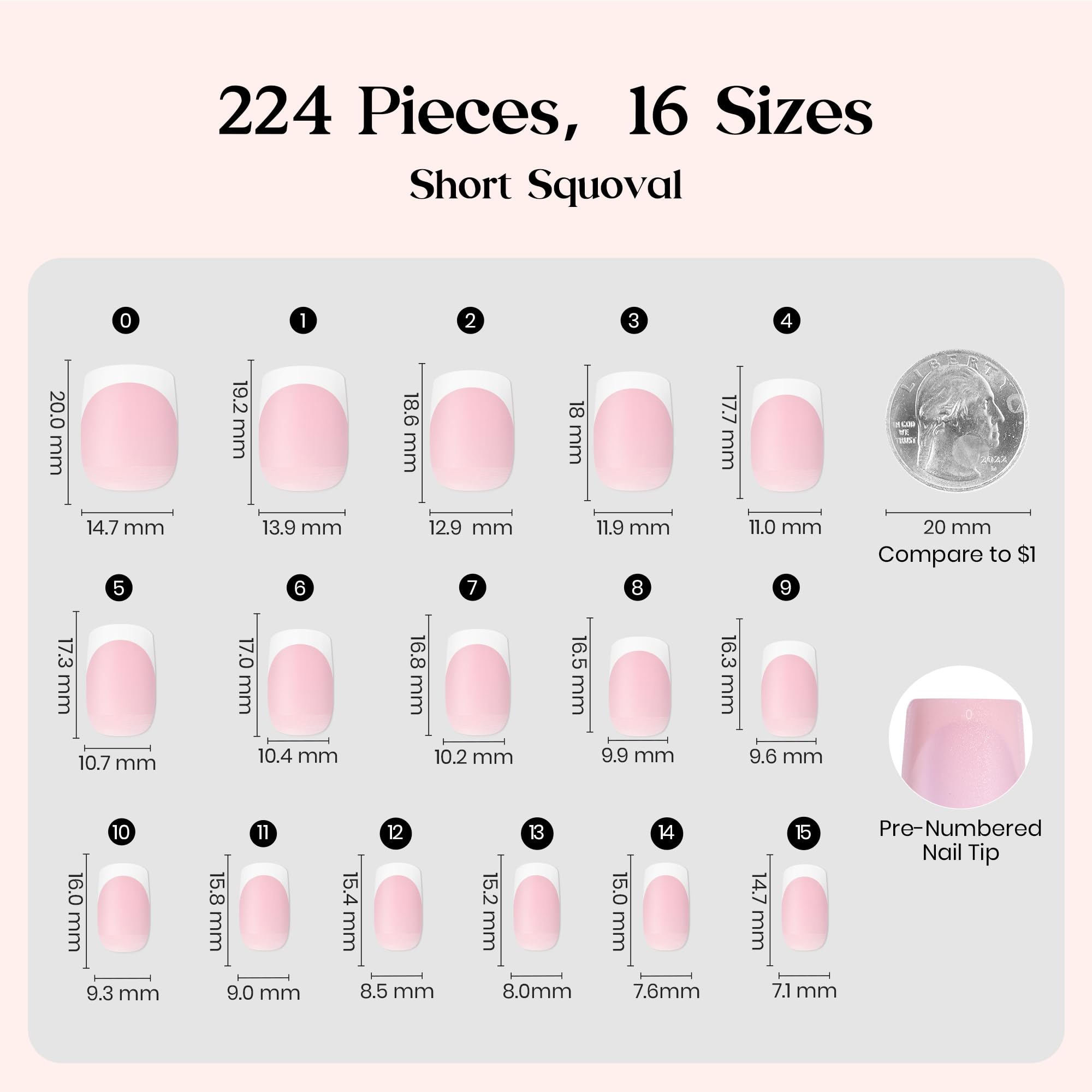 Beetles X Press Plus French Tip Nails – Camellia French, Pink Short Squoval | 224 Pcs, 16 Sizes