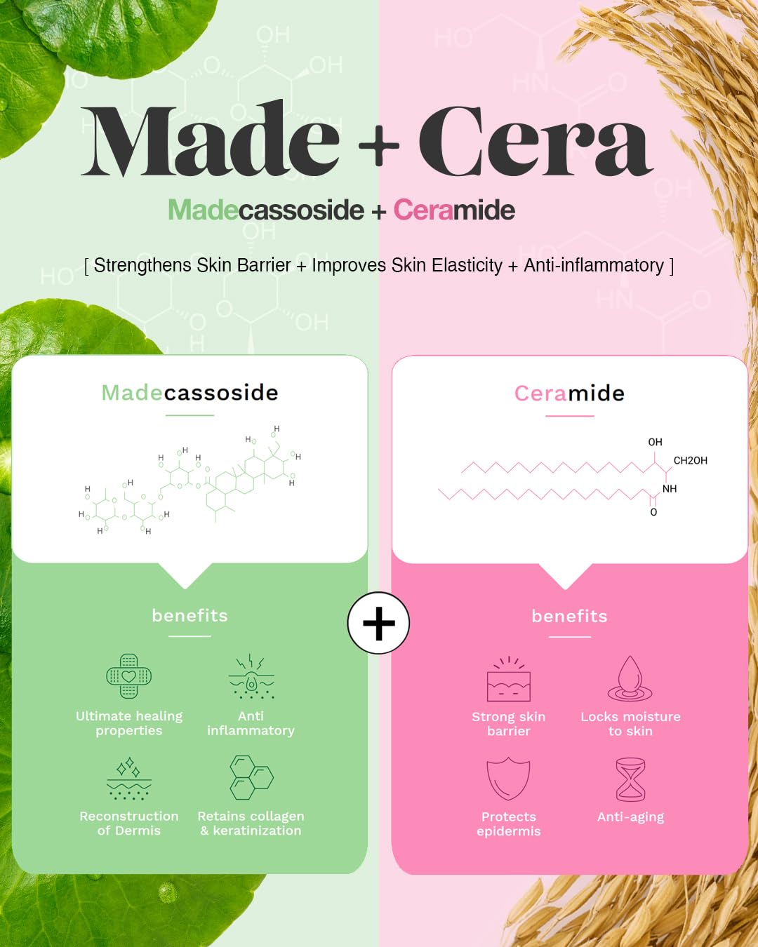 BEISIKS SKINRxLAB MadeCera Cream Double Essence Korean Toner 2 Pack – Hydrating Korean Toner