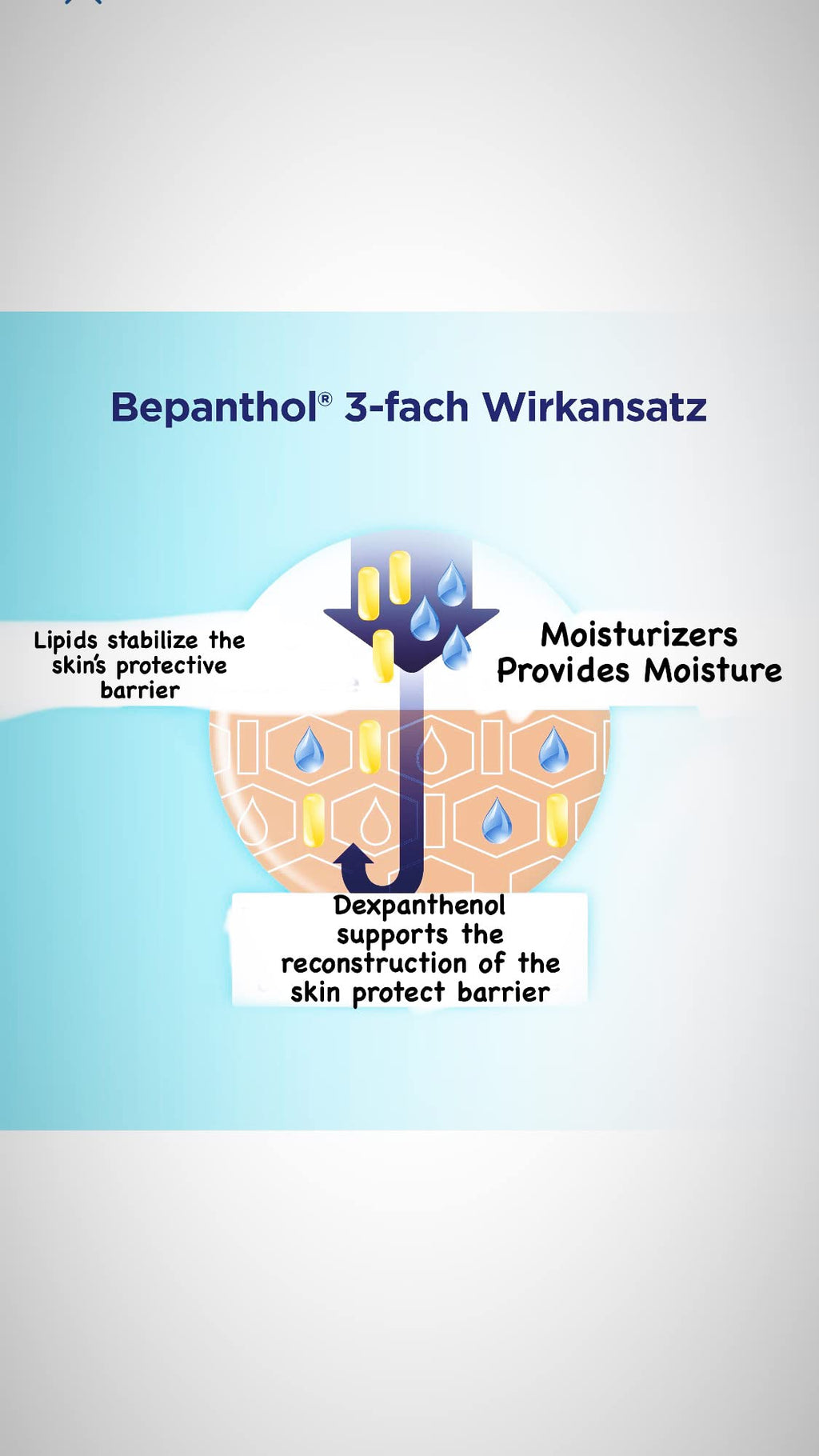 Bepanthol Lipstick with Dexpanthenol, SPF 30 & Vitamin E – Moisturizing Lip Care 4.5 g