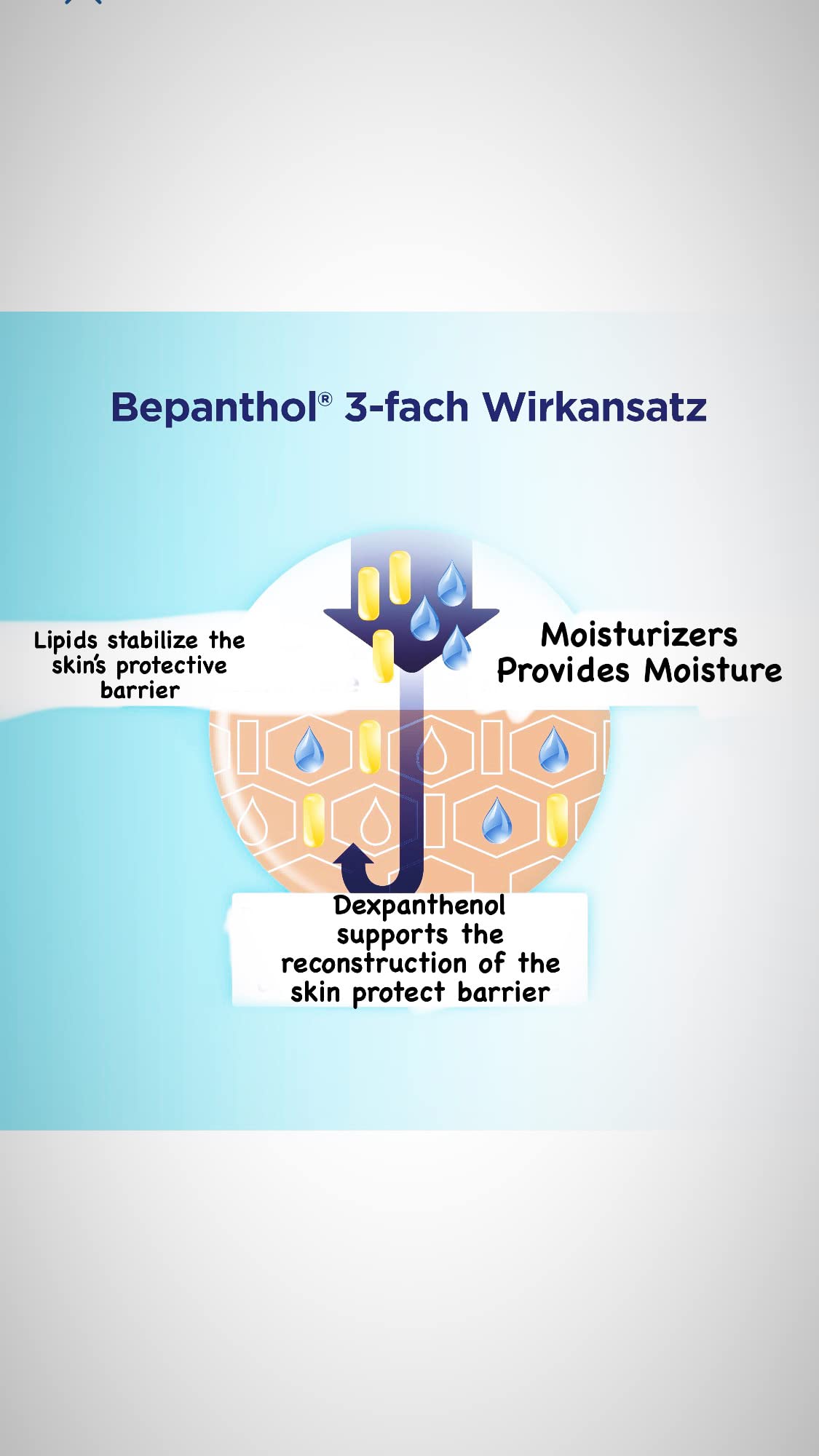 Bepanthol Lipstick with Dexpanthenol, SPF 30 & Vitamin E – Moisturizing Lip Care 4.5 g