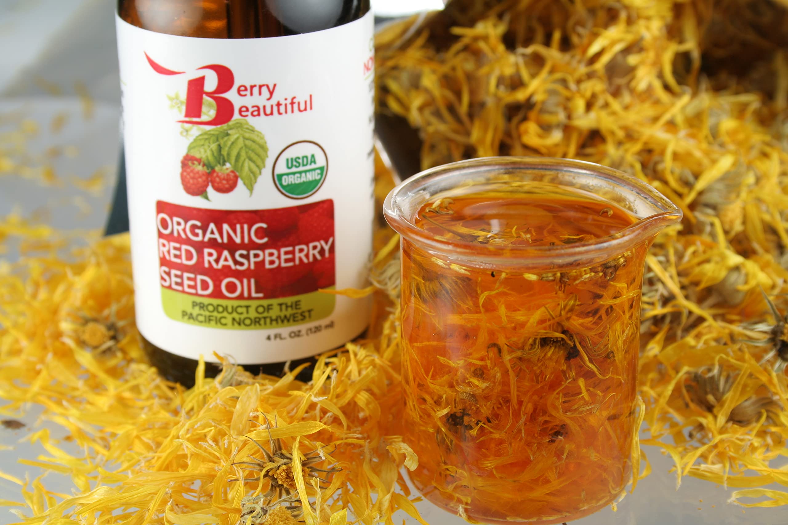 Berry Beautiful Certified Organic Red Raspberry Seed Oil – Cold-Pressed, USA Grown (1 fl oz)
