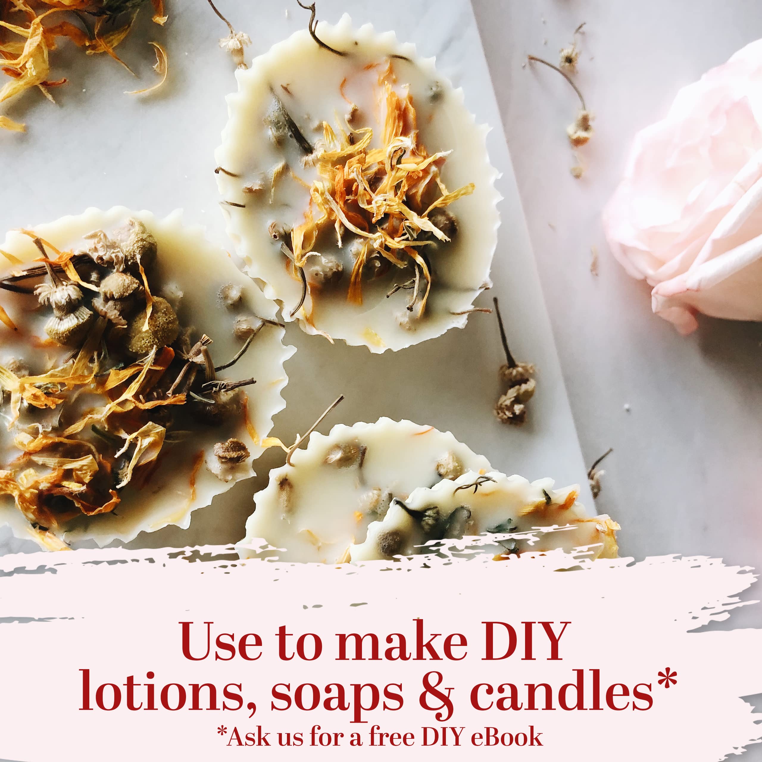 Better Shea Butter Dried Calendula Flowers – 4 oz for Soap Making, Tea, Tinctures & Bath Salts
